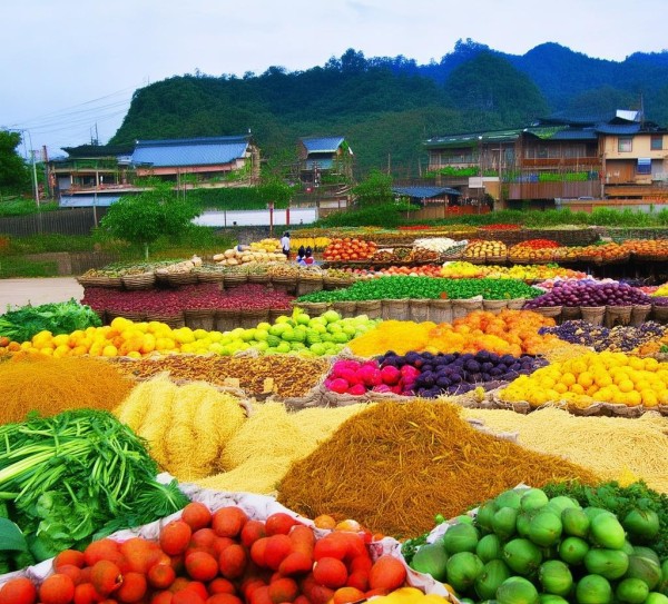 探秘惠水县，特色农业产品丰富多样，助力乡村振兴